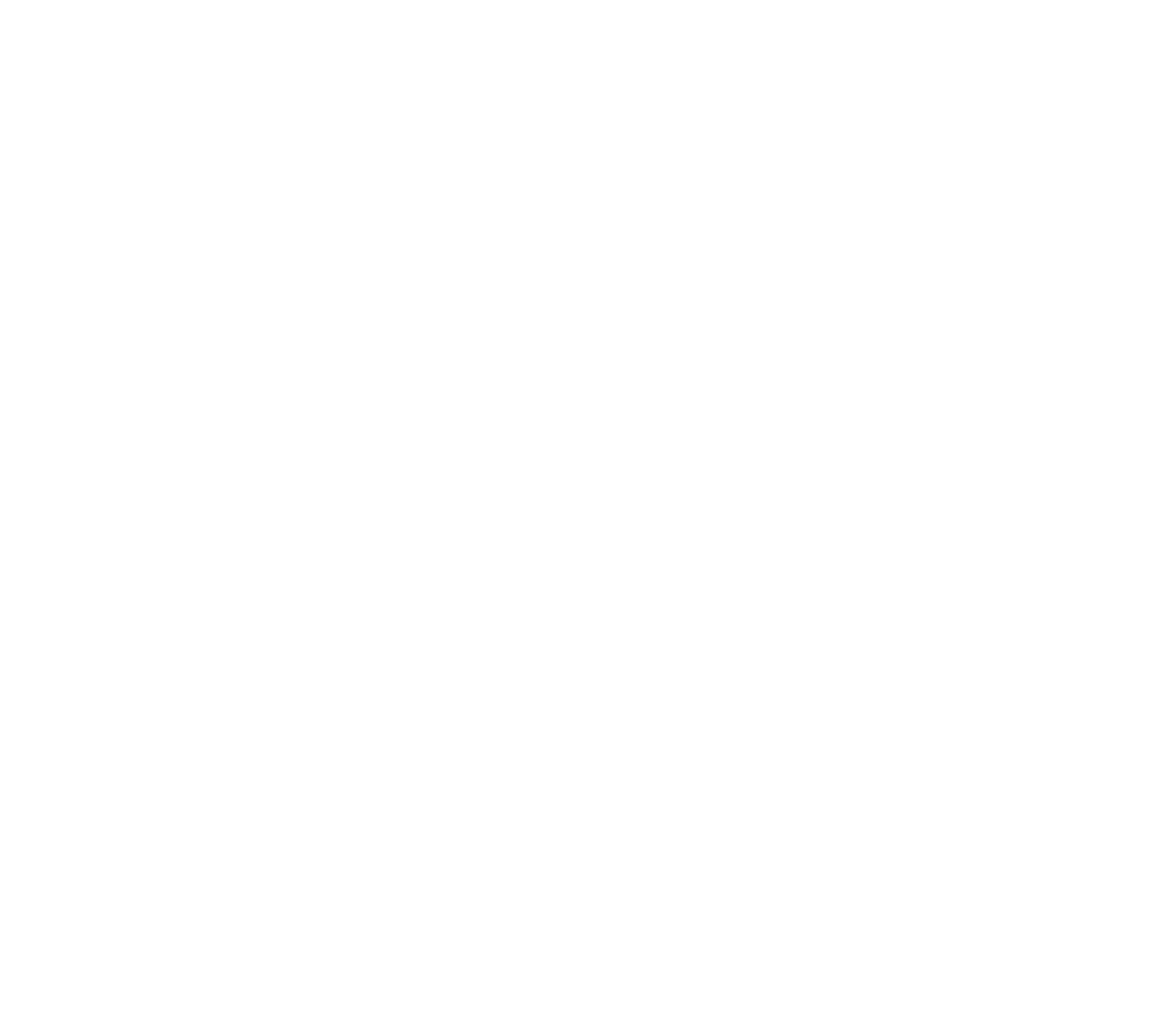 A Plus Expeditors